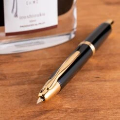 Pilot Vanishing Point Retractable Fountain Pen, Black & Gold